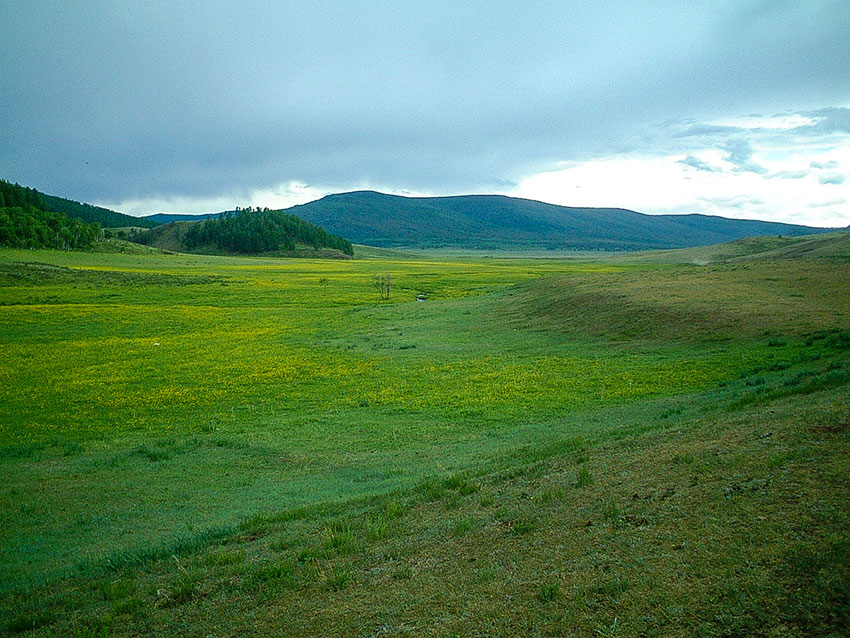 DSCF3631 2002